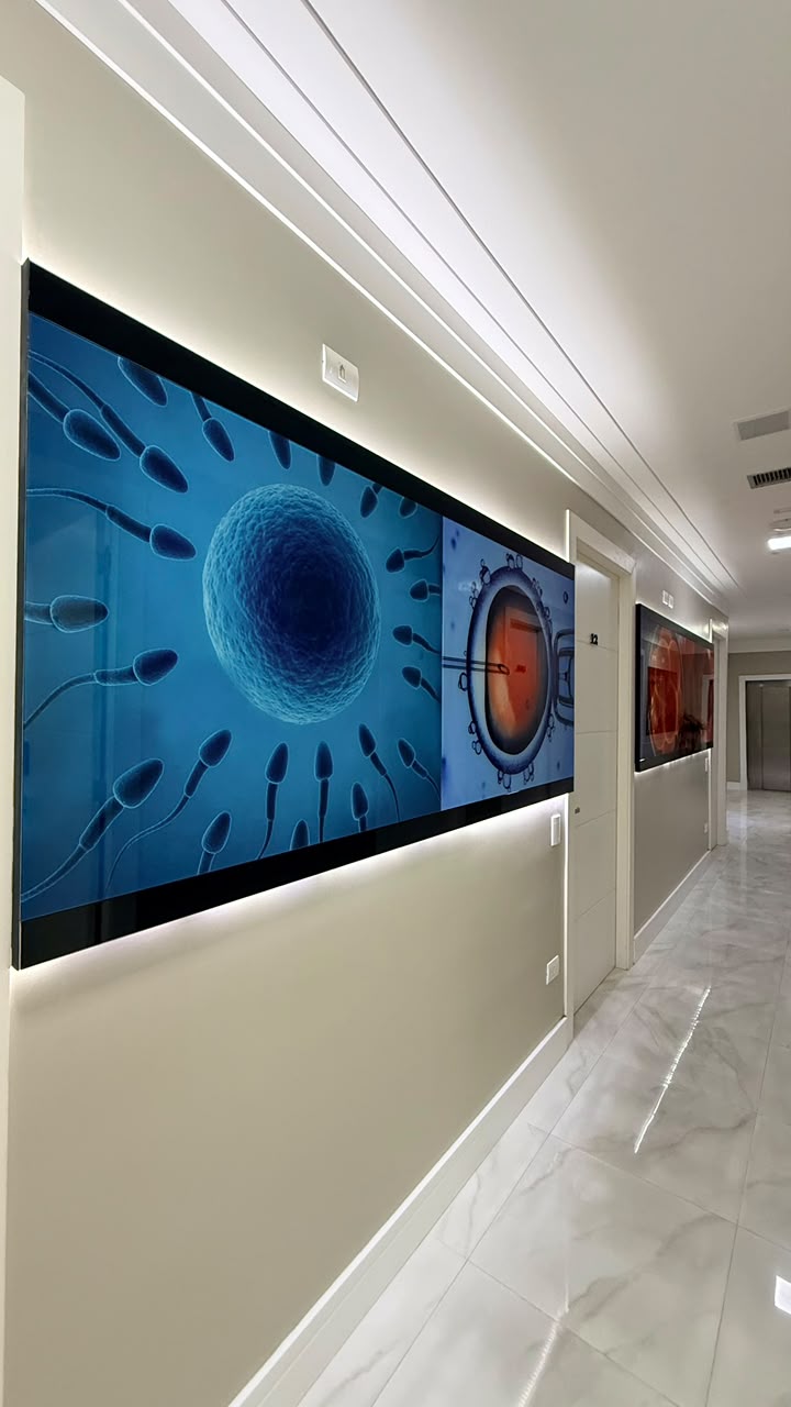 Corredor da Reproferty com painéis iluminados de embriologia